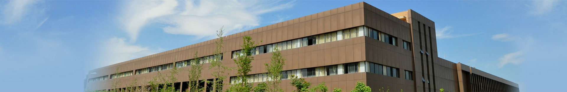 关于AG真人娱乐