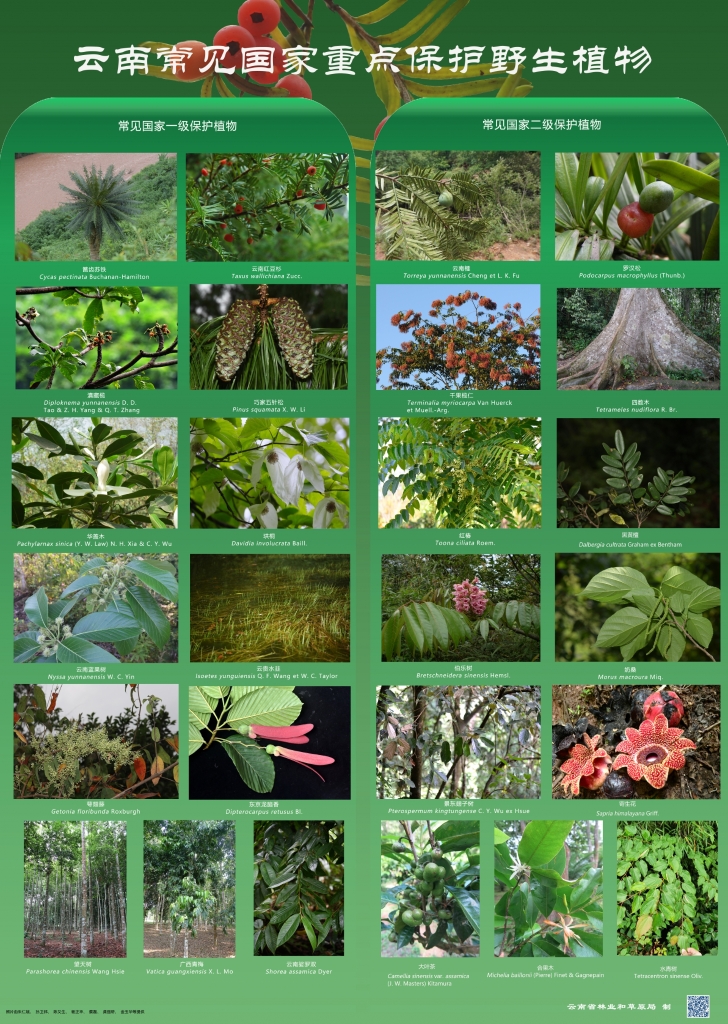 以案普法：危害国家重点；ぶ参镒